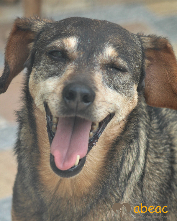 Buba-Sr. Claudio - 11 anos