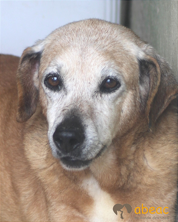 Sol-Bianca - 14 anos