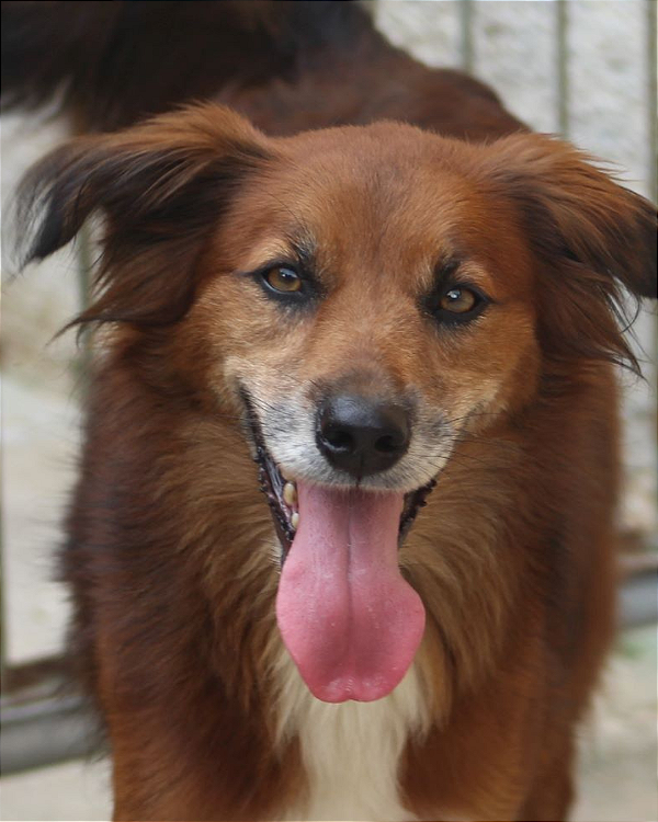 Charlotte-Wanderléia - 08 anos