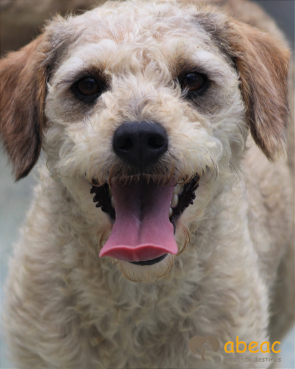 Andora-Sr. Claudio - 09 anos