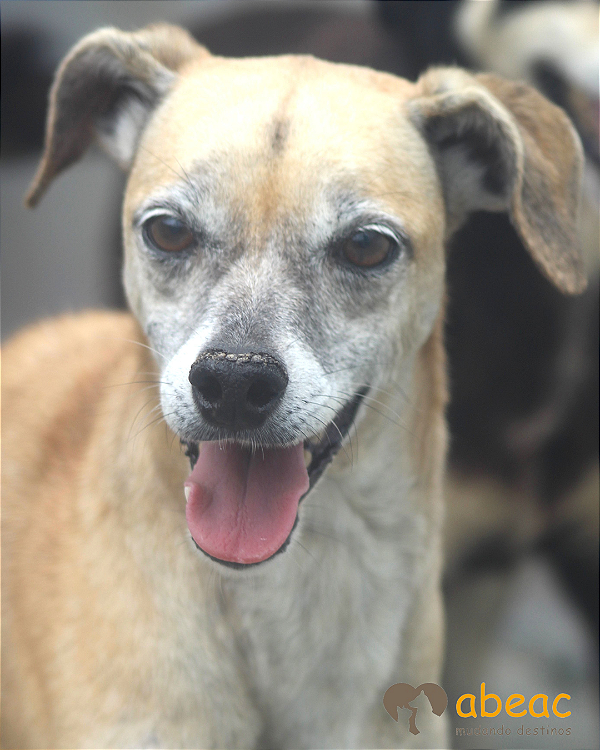 Sasha-Sr. Claudio - 10 anos