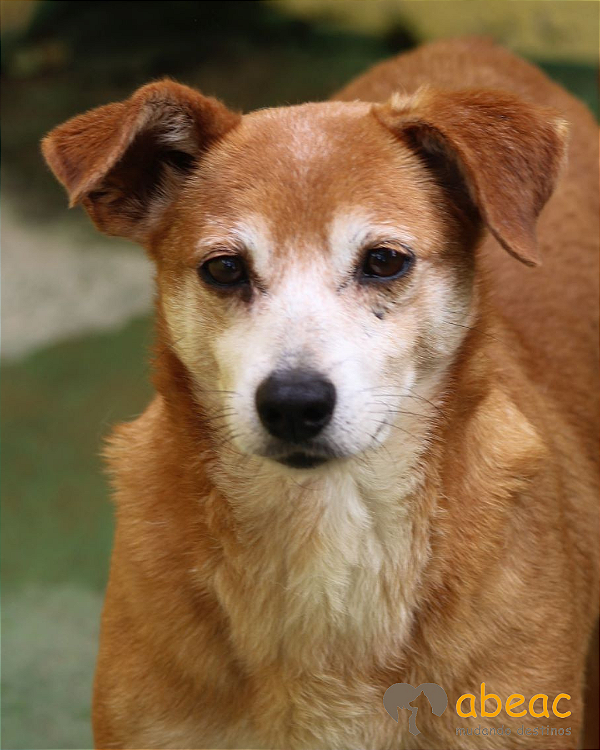 Raika-Embu - 12 anos