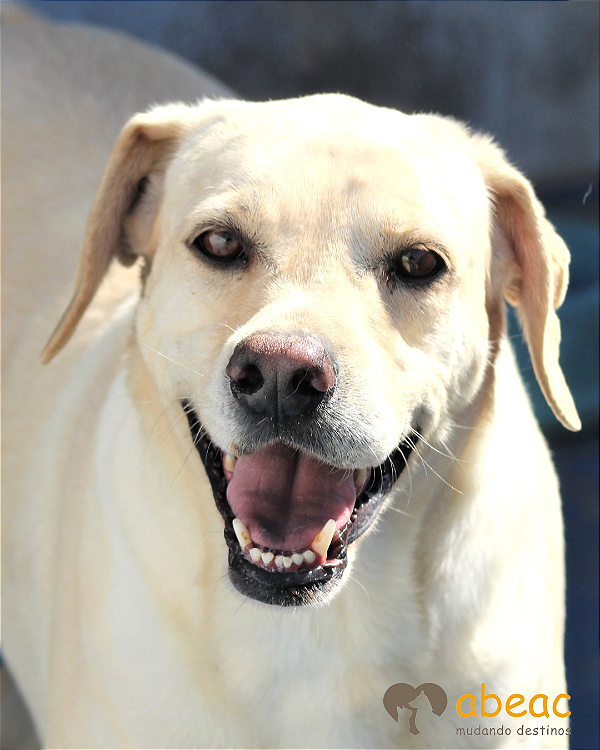 Cauê-Suzy - 09 anos