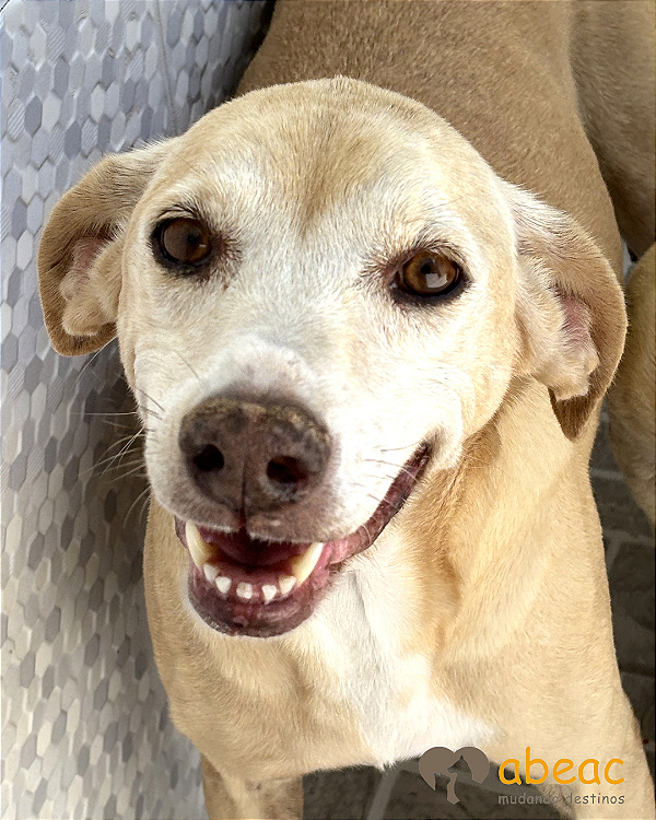 Luna-Caucaia - 15 anos