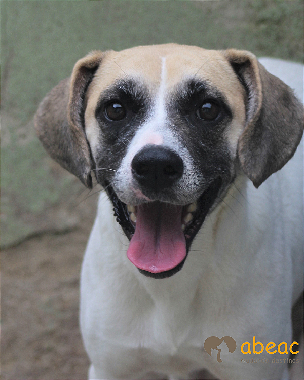 Nanny-300 Anjos - 07 anos