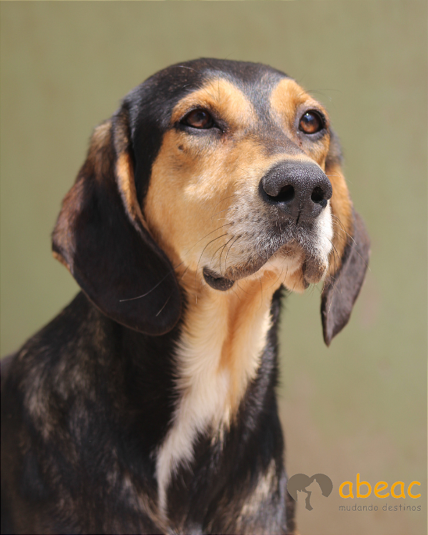 Jimmy-Suzy - 09 anos