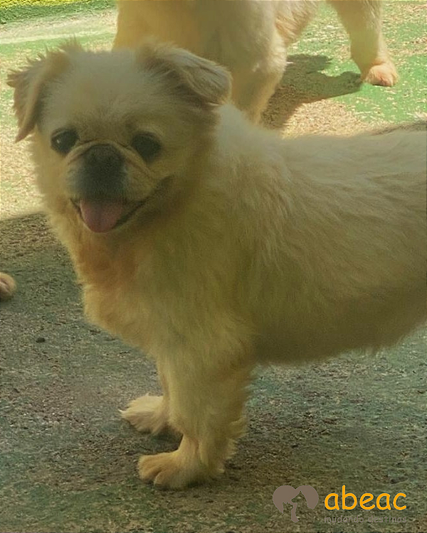 Baby-Mairiporã - 09 anos