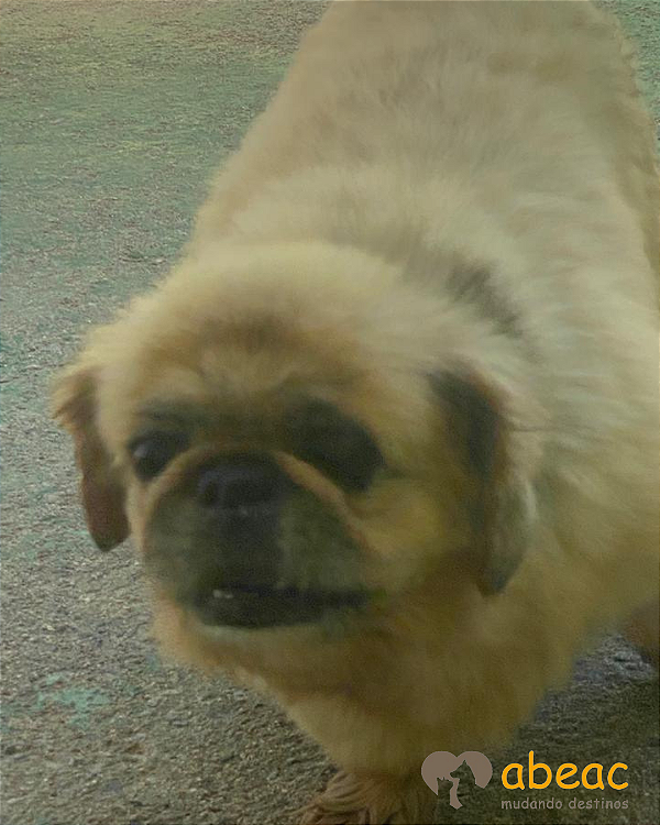 Miucha-Mairiporã - 09 anos