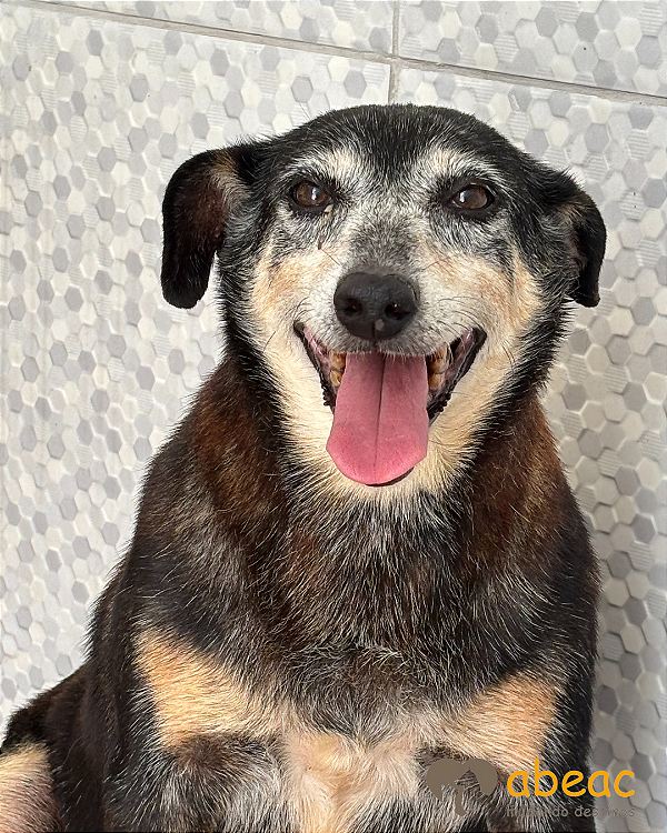 Pituca-Gigi - 13 anos