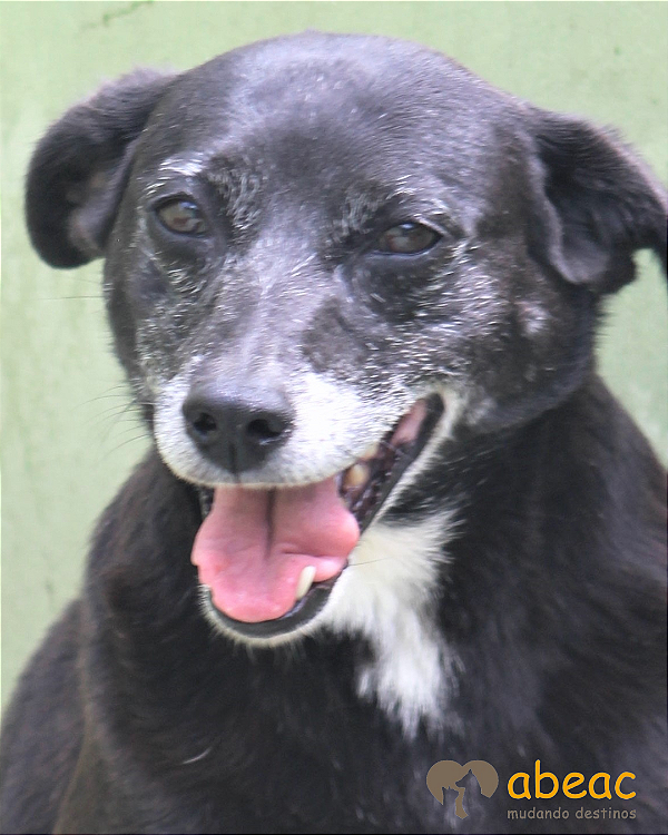 Filó-Dna Beth - 12 anos