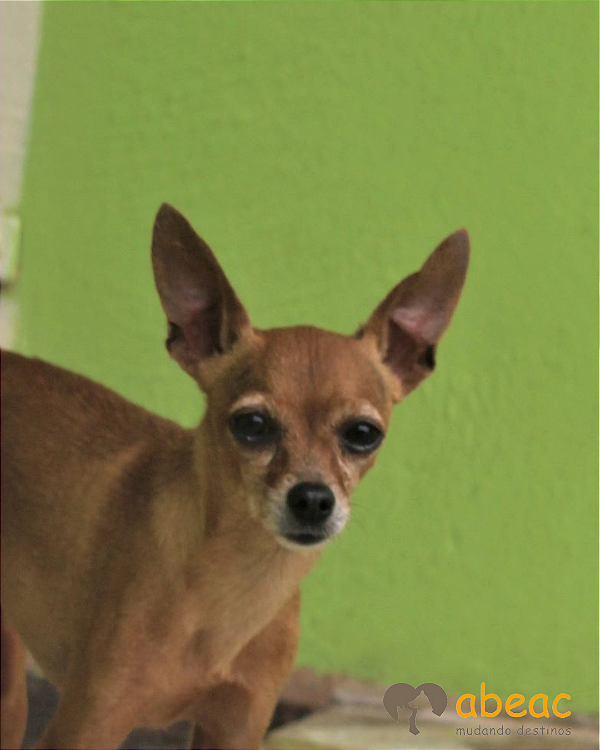 Gabriel-Eve - 11 anos