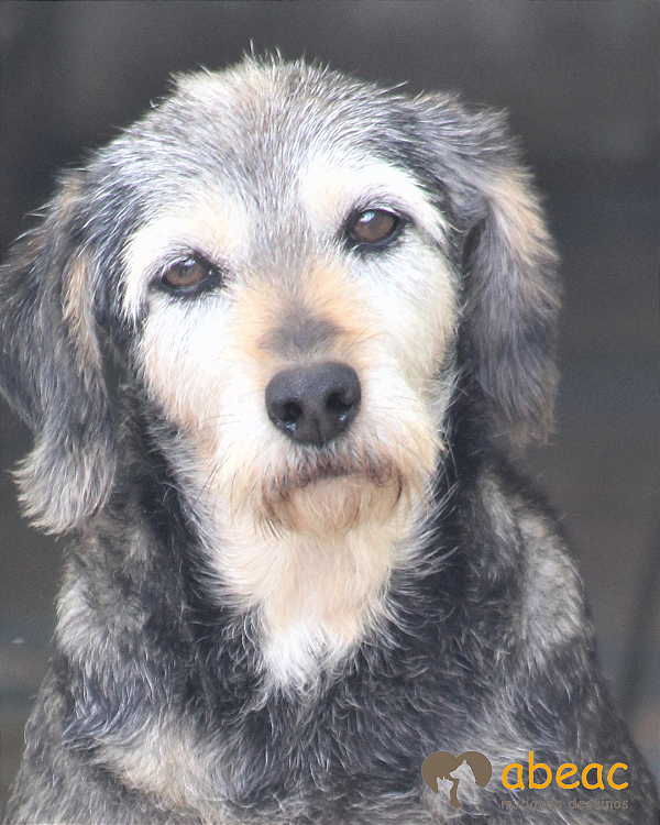 Cristal-Esmeralda - 13 anos