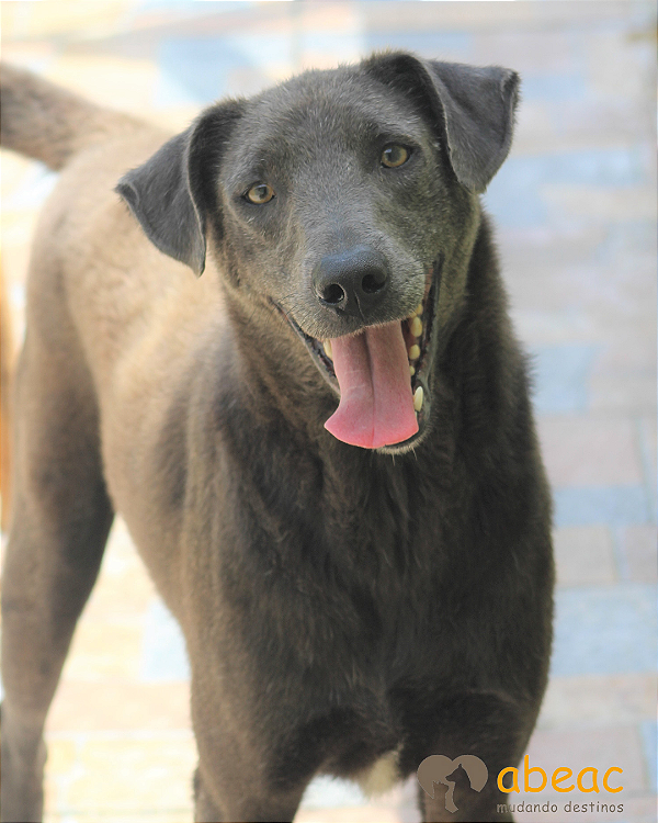 Baco-Tutty - 07 anos