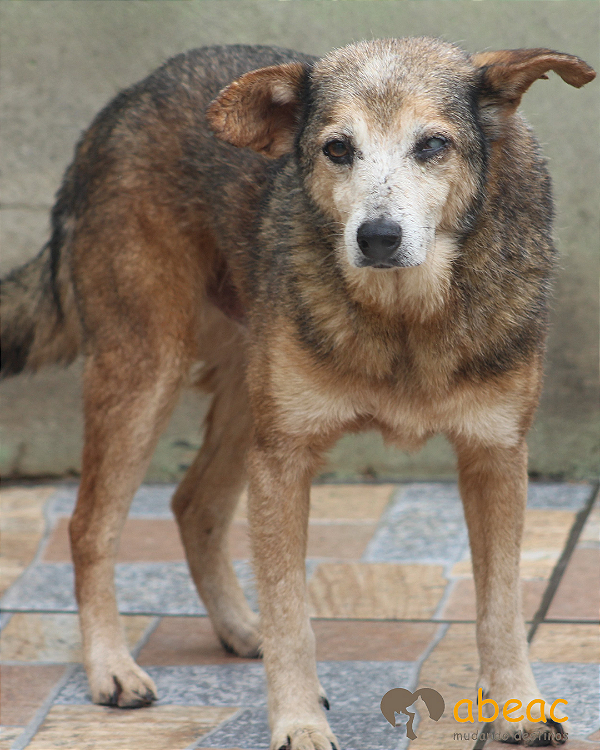 Bartolomeu - 14 anos