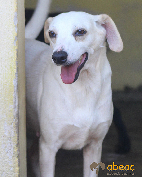 Belinha-Caucaia - 05 anos