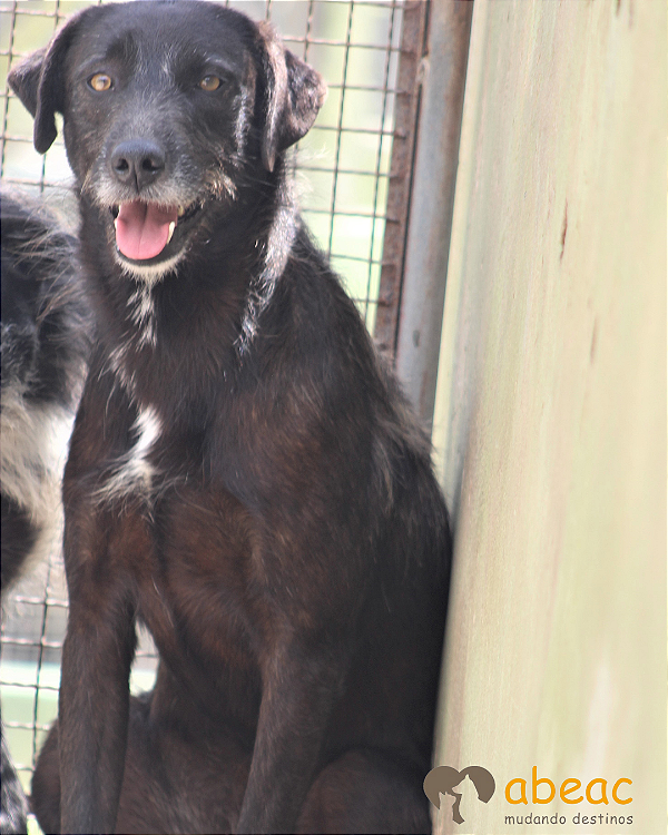 Bolt-Caucaia - 05 anos