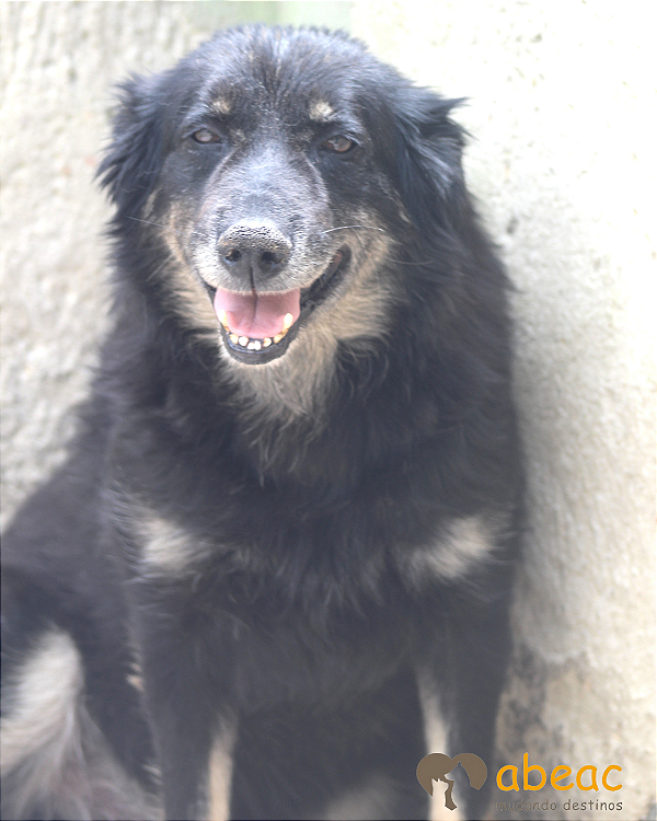 Boomer-Mirella - 11 anos