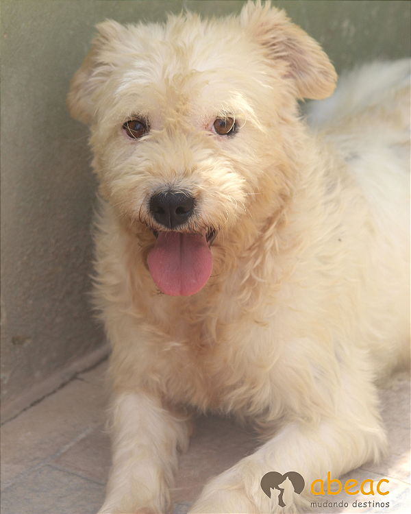 Cristal- Caucaia - 05 anos