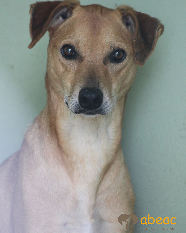 Dalila-Inês - 13 anos