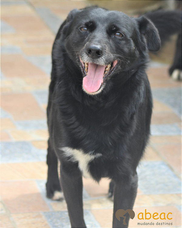 Demy-Wanderléia - 11 anos