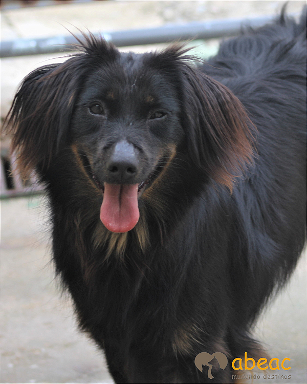 Didi-Balsa - 05 anos