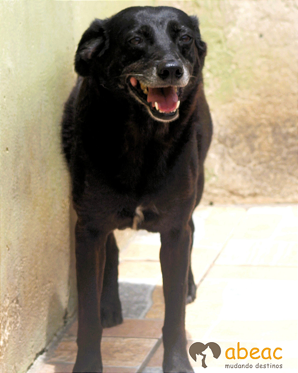 Edith-Wanderléia - 10 anos