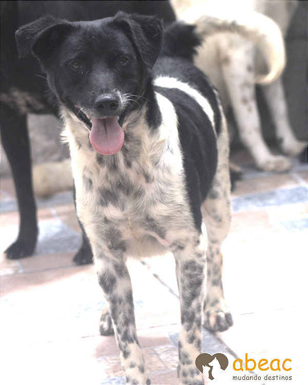 Eros-Sabrina - 02 anos