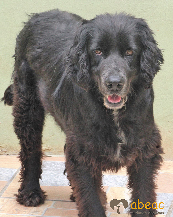 Freddy-Milena - 14 anos