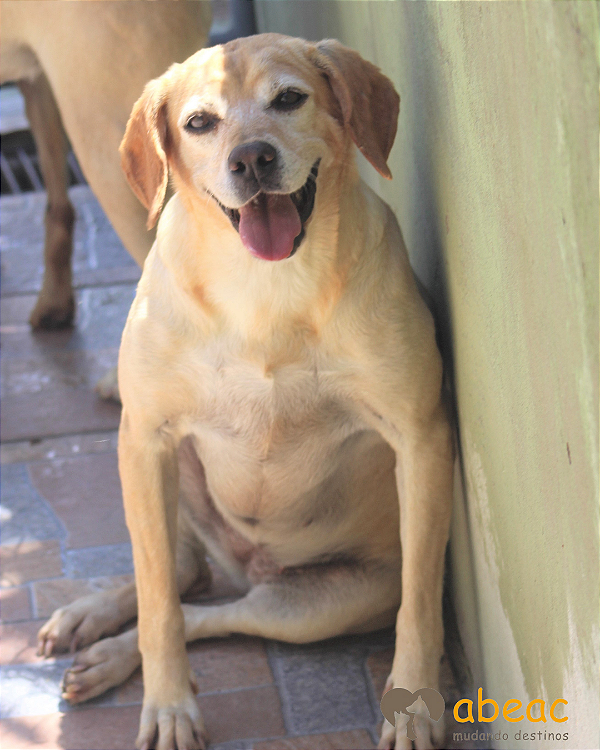 Hanna-Suzy - 09 anos