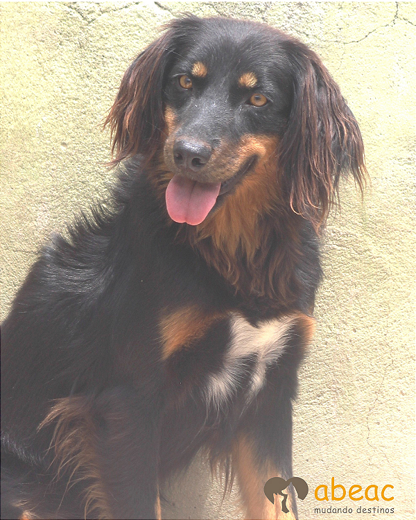 Jully-Betina - 04 anos