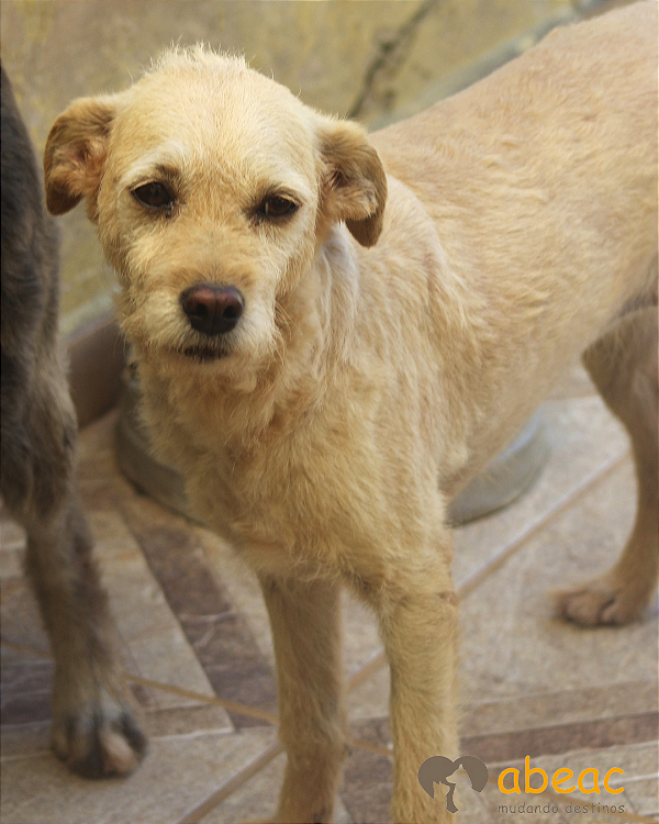 Melina-Eve - 08 anos