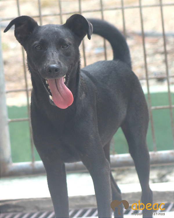 Nico-Sabrina- 02 anos