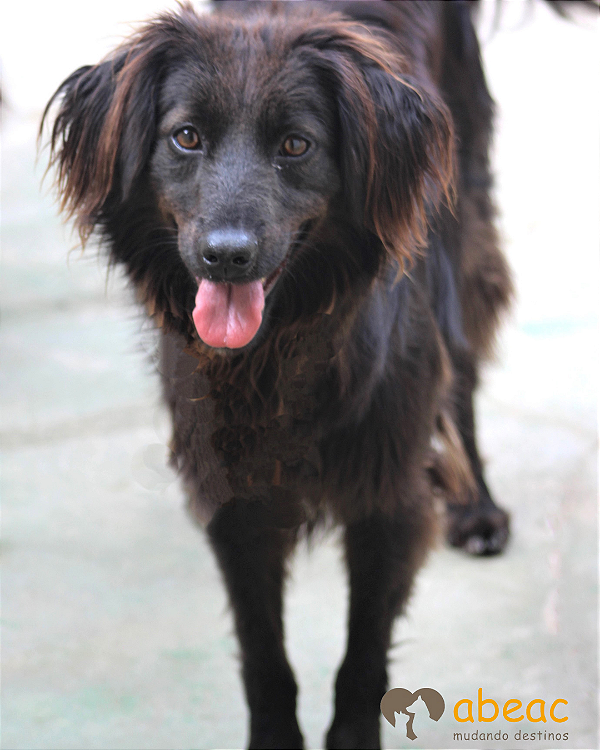 Nina-Balsa - 05 anos