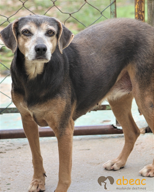 Peixinho-Marcelo - 15 anos