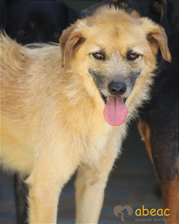 Samuel-Inês - 12 anos