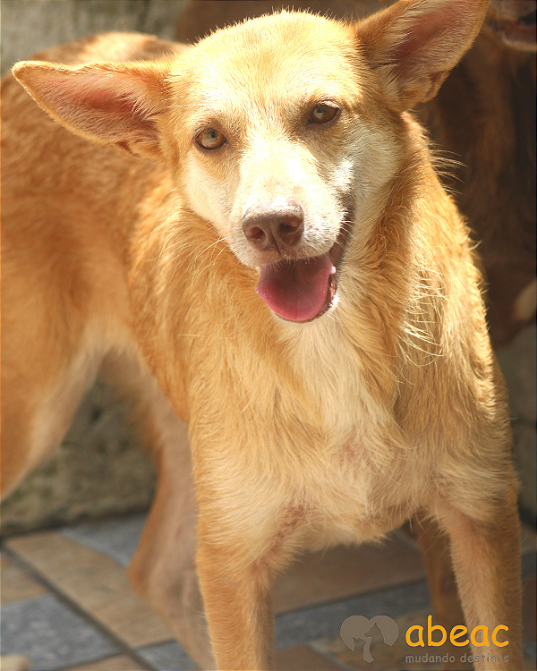 Sandy-Embu - 10 anos