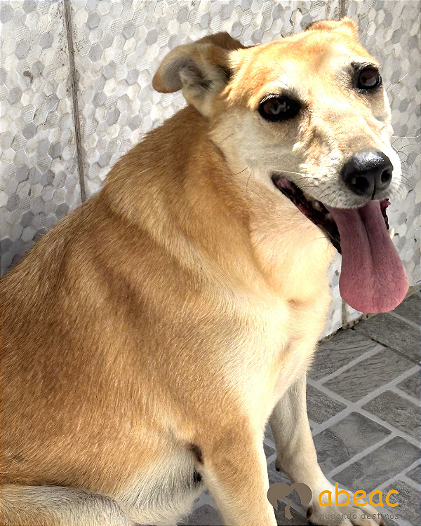 Sol-Caucaia - 07 anos