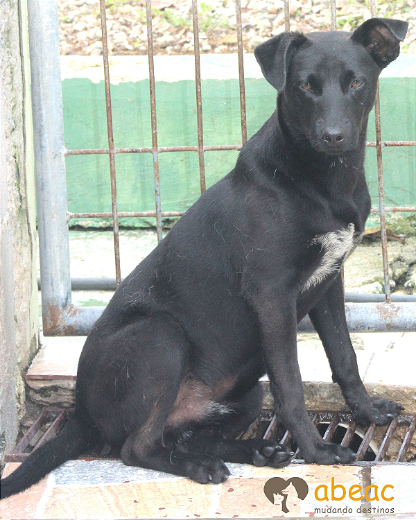 Spyke-Sabrina - 02 anos