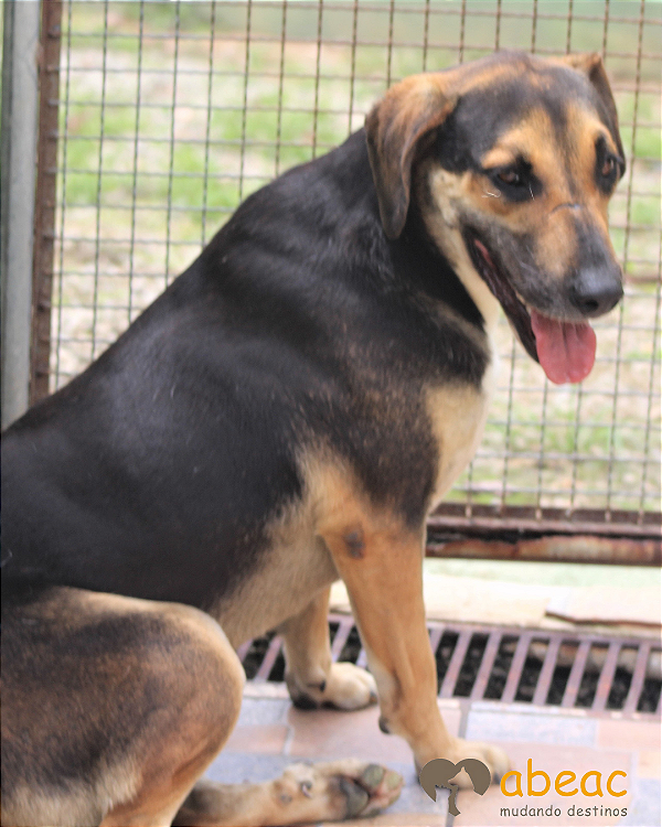 Stevaux-Eve - 07 anos