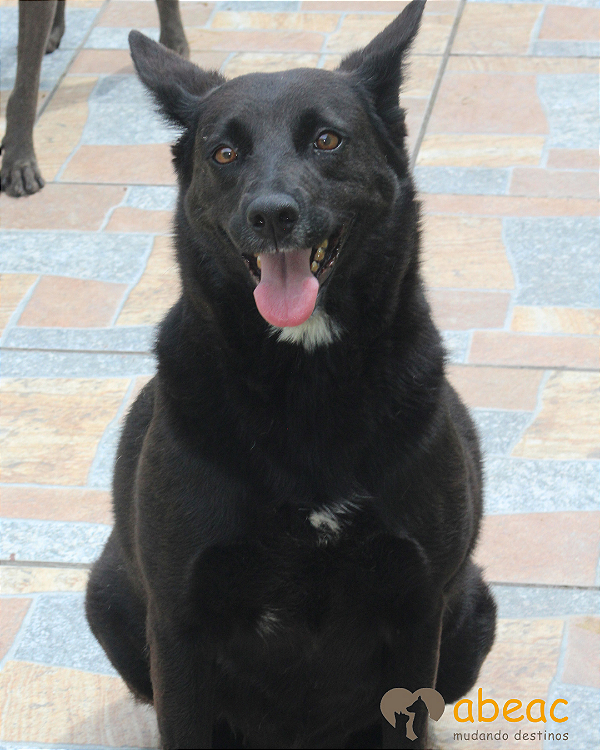 Tutty-Sr. Claudio - 09 anos