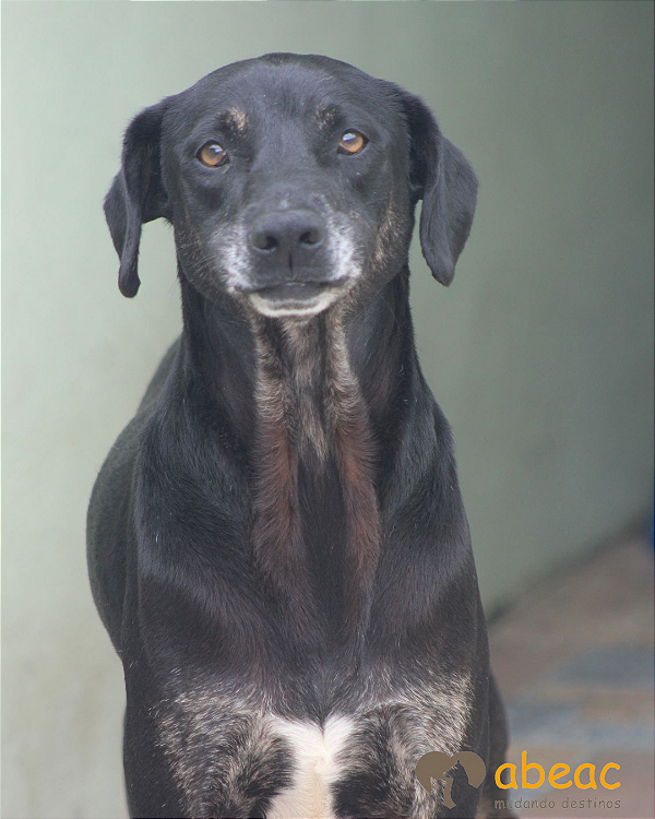 Uriel-Inês - 12 anos