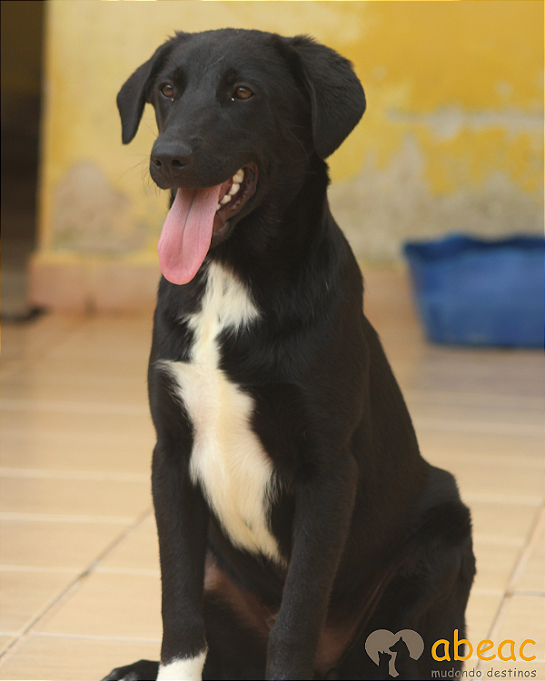 Afrodite-Caucaia - 02 anos