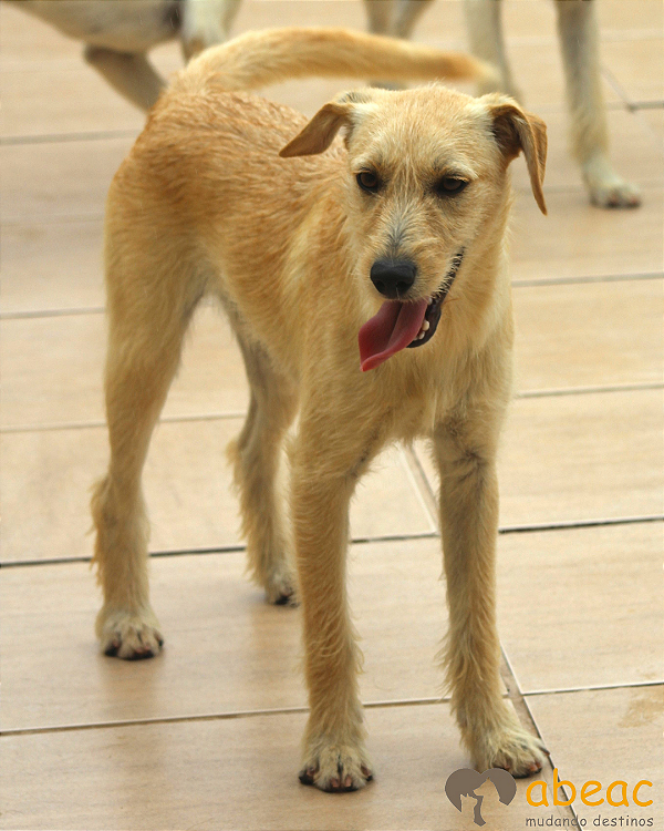 Apolo-Caucaia - 02 anos