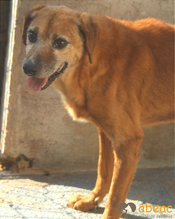 Billy-Mel-Pedreira - 16 anos