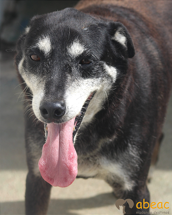 Bob-Valentina - 10 anos