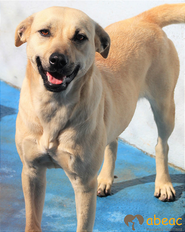 Eva-Amarula - 08 anos