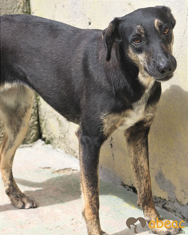 Grace-Caucaia - 06 anos