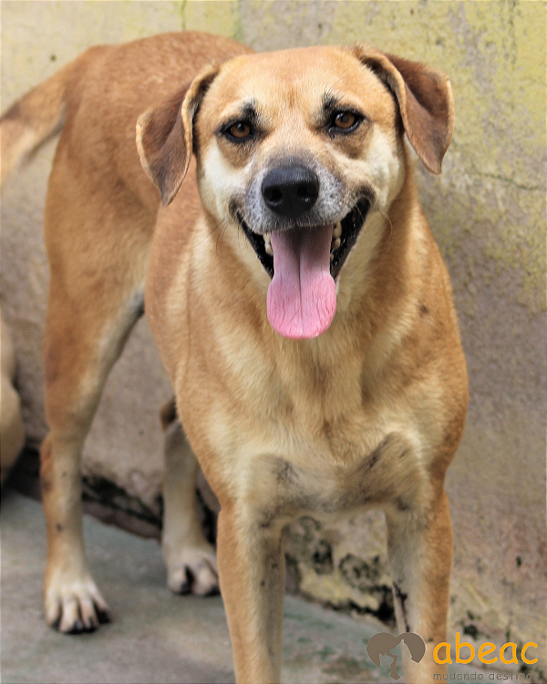 Helena-Amarula - 08 anos