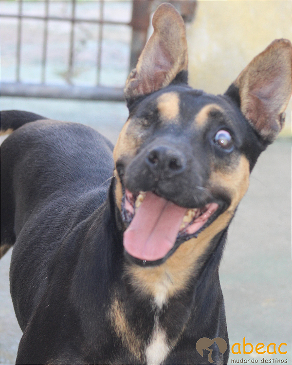 Kiara-Eve - 06 anos -*APADRINHADA*