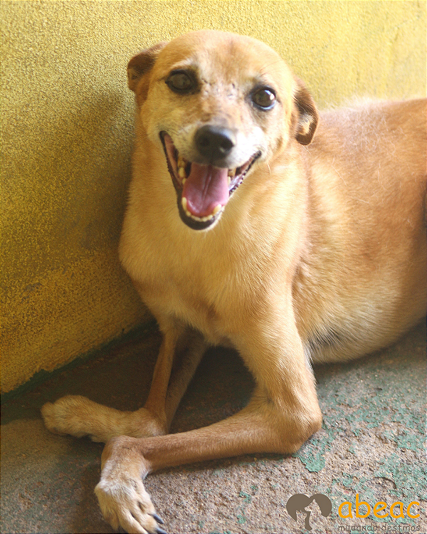 Lolita-Caucaia - 09 anos -*APADRINHADA*